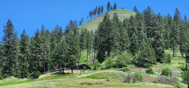110 Memory Ln, Kamiah, ID 83536 - view of mountain backdrop with a forest