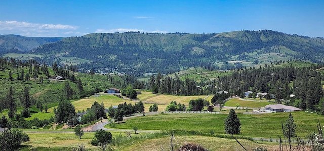 110 Memory Ln, Kamiah, ID 83536 - view of mountain background