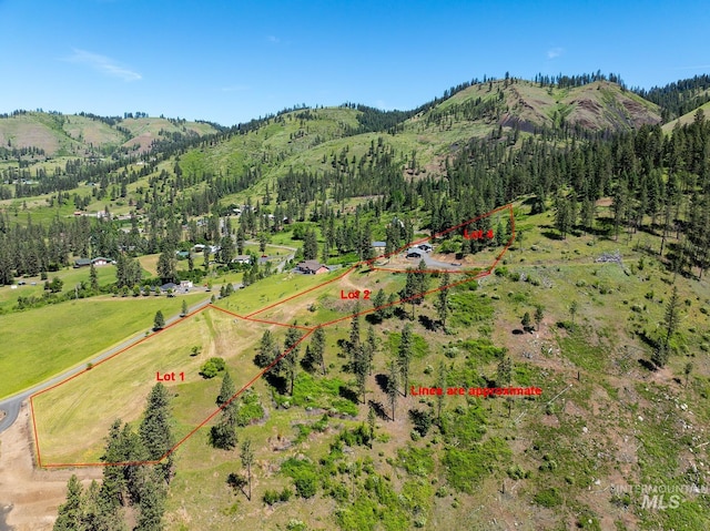 110 Memory Ln, Kamiah, ID 83536 - view of property location featuring property parcel outlined, mountains, and a forest