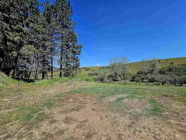 view of local wilderness with rural landscape