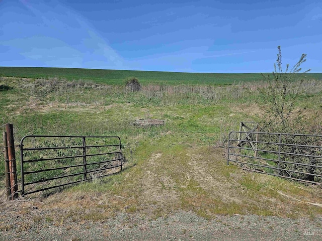 view of yard with a view of rural / pastoral area