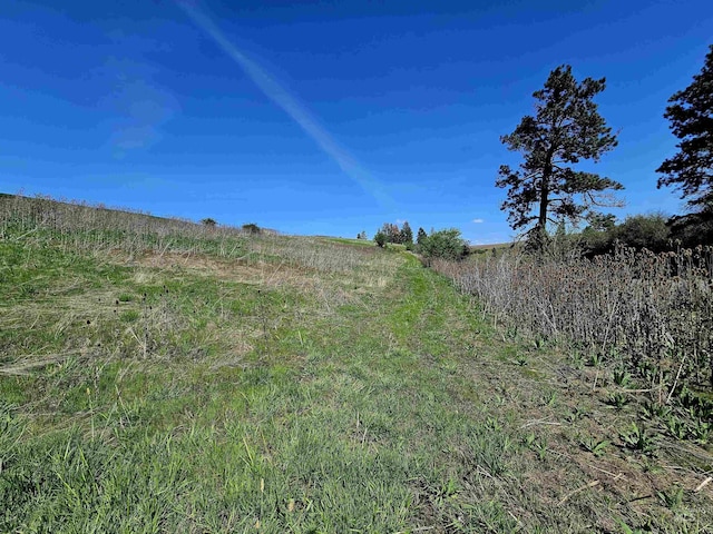 view of undeveloped land