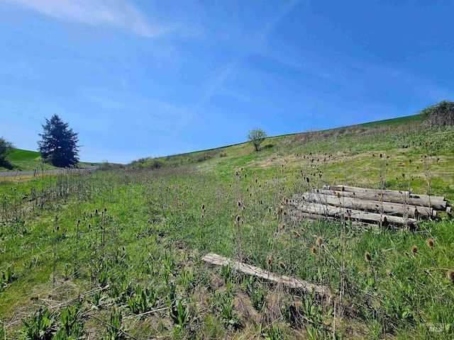 view of yard featuring a view of countryside