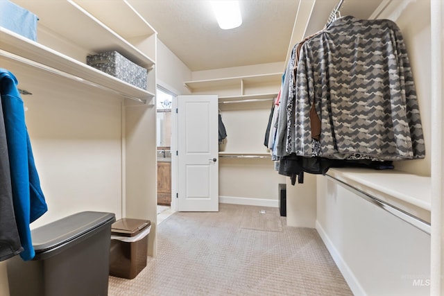 view of spacious closet