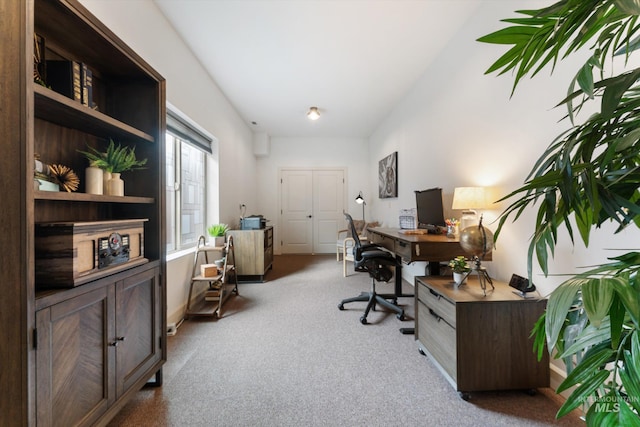 home office featuring carpet flooring