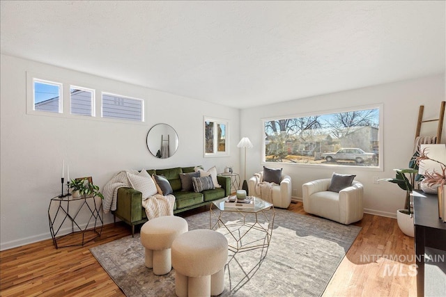 living room with hardwood / wood-style flooring