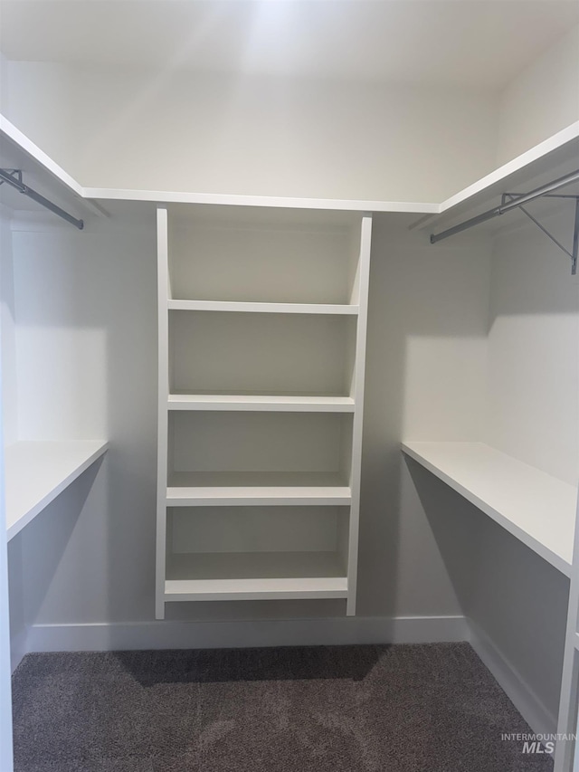 spacious closet with carpet