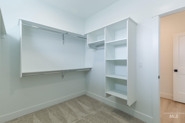 spacious closet with carpet