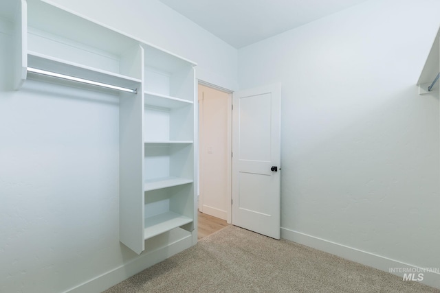 walk in closet with carpet flooring