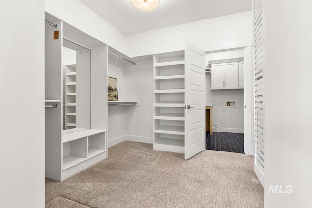 1279 W Ultar, Nampa, ID 83686 - spacious closet with carpet flooring