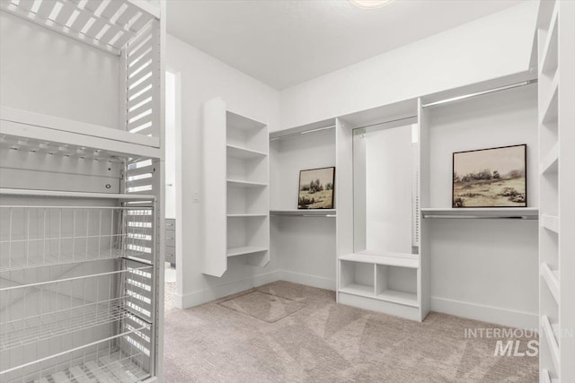 1279 W Ultar, Nampa, ID 83686 - spacious closet with carpet flooring