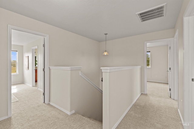 11422 W Darkwood St, Star, ID 83669 - hall with an upstairs landing, carpet, plenty of natural light, and baseboards