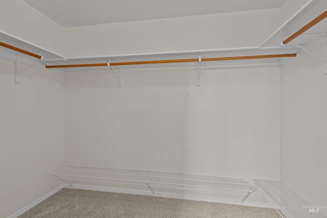 11422 W Darkwood St, Star, ID 83669 - walk in closet with carpet flooring