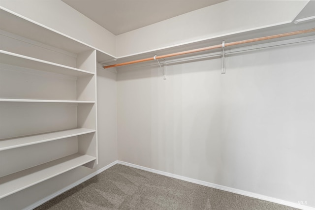 5217 Weston Ave, Caldwell, ID 83607 - walk in closet with carpet