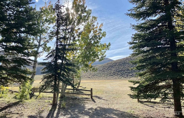 view of yard with a mountain view