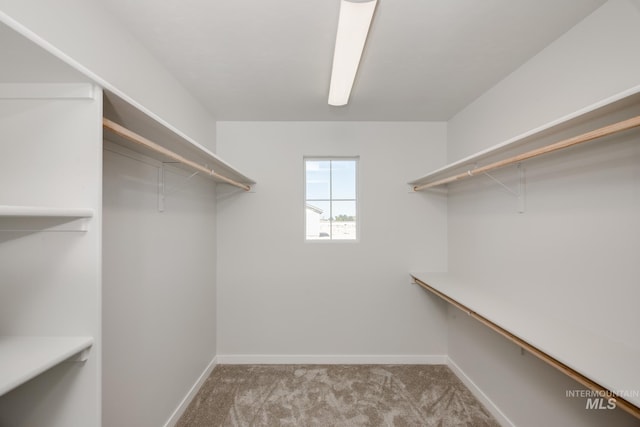 8172 E Red Horse St, Nampa, ID 83687 - spacious closet with carpet