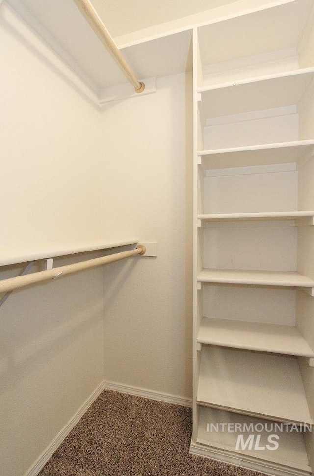 1300 Diamond Ct, Nampa, ID 83686 - walk in closet featuring carpet flooring