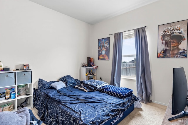 1597 Vista Dr, Twin Falls, ID 83301 - view of carpeted bedroom