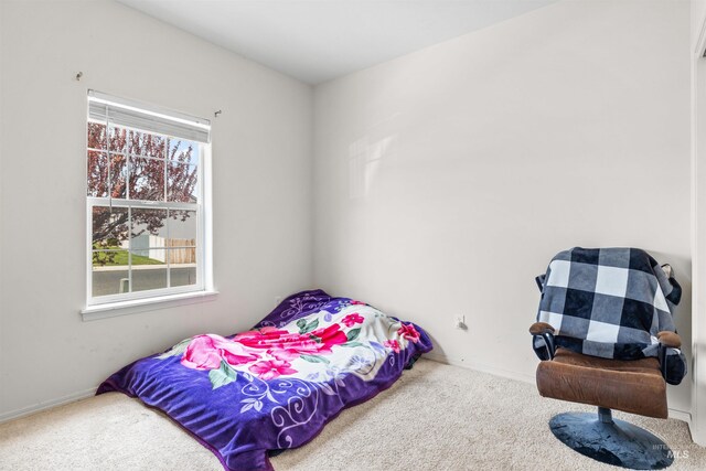 1597 Vista Dr, Twin Falls, ID 83301 - bedroom with carpet floors and baseboards