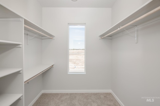 spacious closet with light carpet