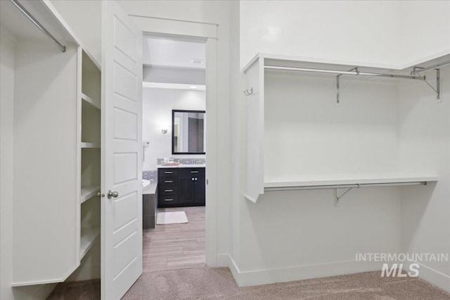 spacious closet featuring carpet and a sink
