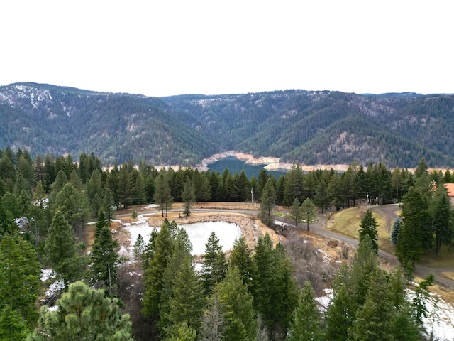 5756 Lakeview Rd, Orofino, ID 83544