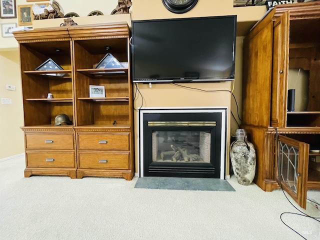 room details with carpet flooring