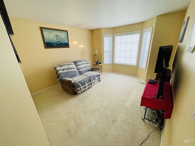 sitting room featuring carpet and a textured ceiling