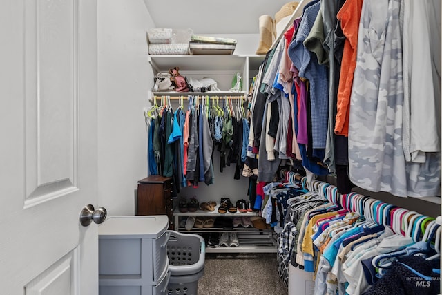 5174 N Rothmans Ave, Boise, ID 83713 - walk in closet featuring carpet