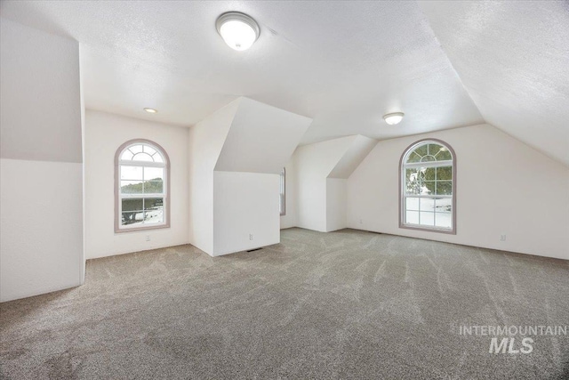 additional living space with a healthy amount of sunlight, carpet floors, and a textured ceiling