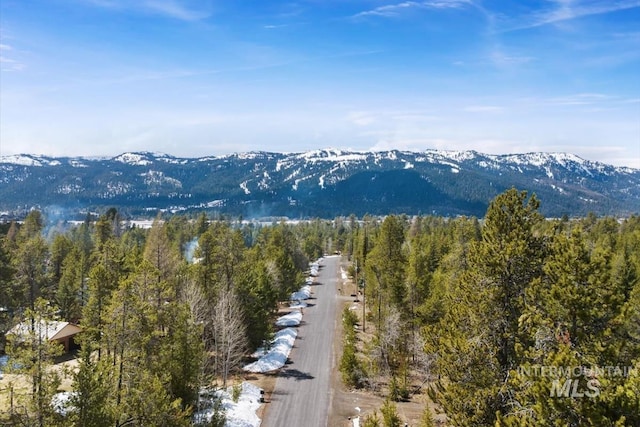 view of mountain feature with a forest view