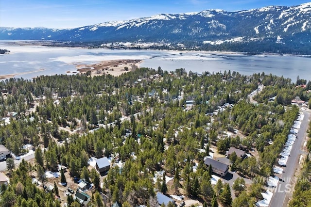 birds eye view of property featuring a water and mountain view