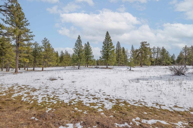 NNA Cloverland, Asotin, WA 99402