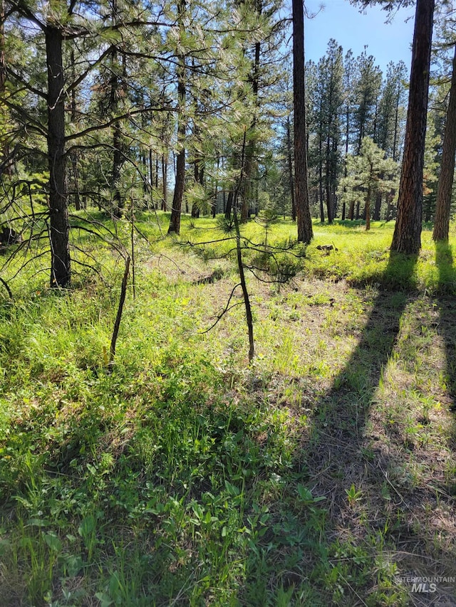 NNA Cloverland, Asotin, WA 99402