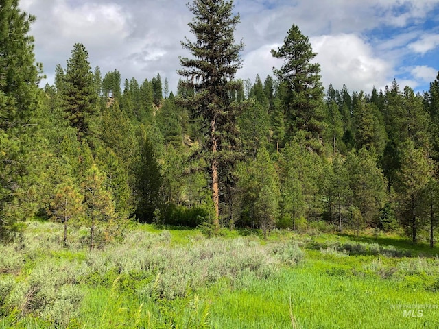 Listing photo 2 for TBD Meadow Creek Dr, Idaho City ID 83631