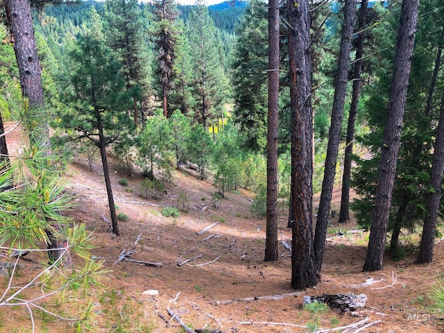 Listing photo 3 for TBD Meadow Creek Dr, Idaho City ID 83631