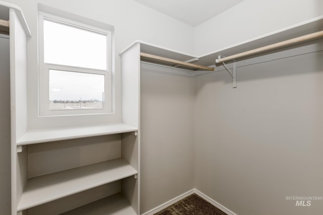 2887 N Rocky Bottom Way, Kuna, ID 83634 - walk in closet with dark colored carpet