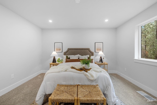 view of carpeted bedroom