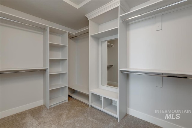 spacious closet with light colored carpet