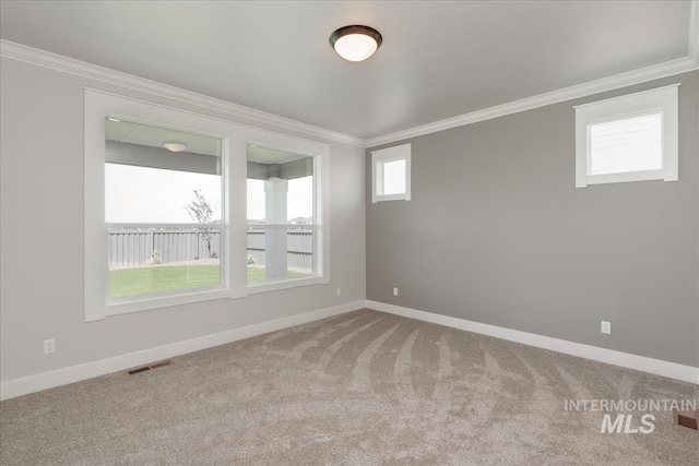 spare room with carpet flooring and ornamental molding