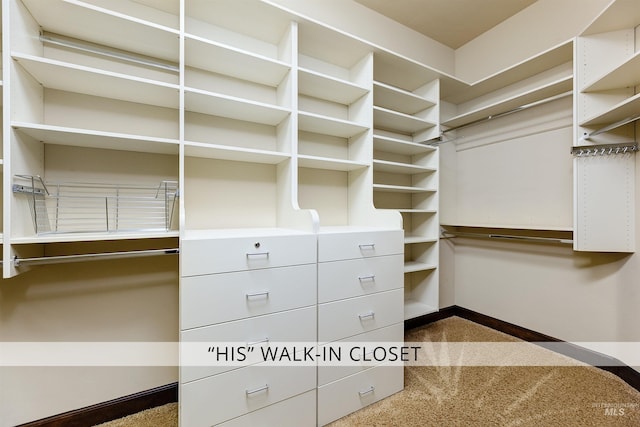 2634 W Sugarberry Dr, Eagle, ID 83616 - spacious closet featuring dark carpet