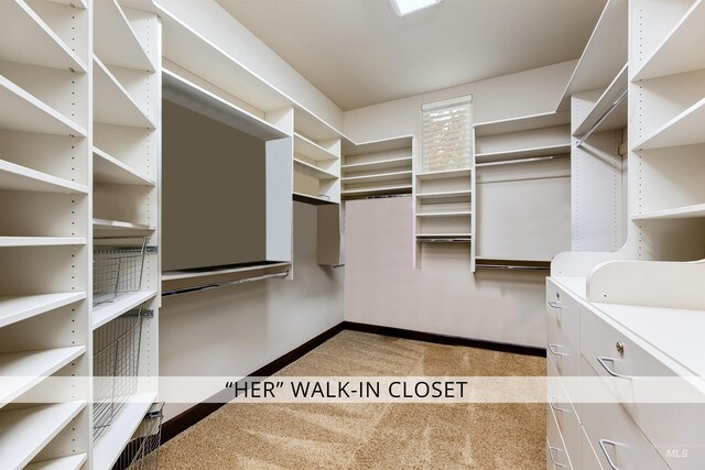 2634 W Sugarberry Dr, Eagle, ID 83616 - walk in closet featuring carpet flooring