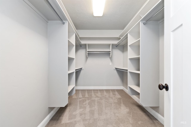 5404 S Palatino Ave, Meridian, ID 83642 - walk in closet featuring light carpet