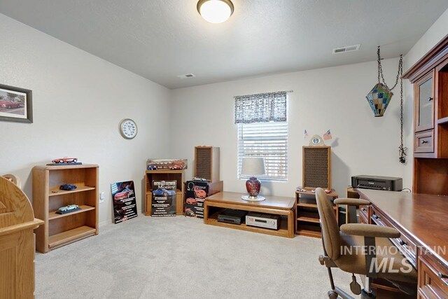 11616 Virginia Pkwy, Caldwell, ID 83605 - office area featuring carpet floors