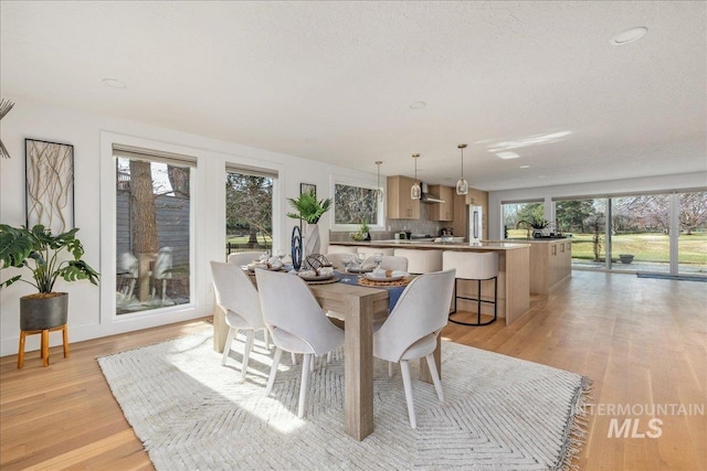 dining area featuring light wood-style flooring and a textured ceiling