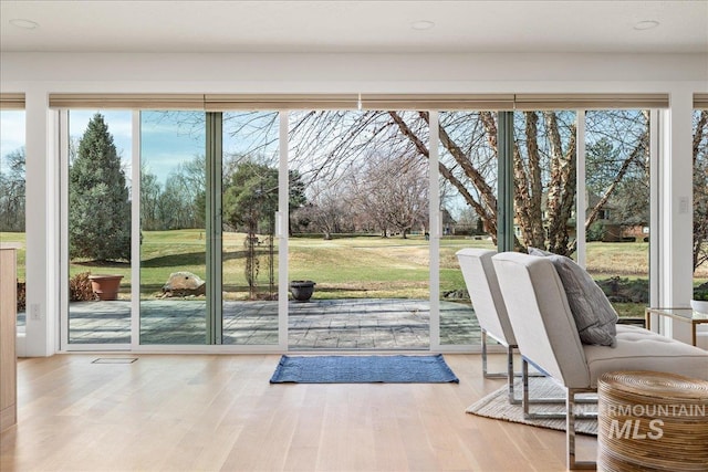 doorway to outside featuring wood finished floors and a wealth of natural light