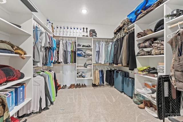 6623 Red Rock Rd, Marsing, ID 83639 - spacious closet featuring carpet