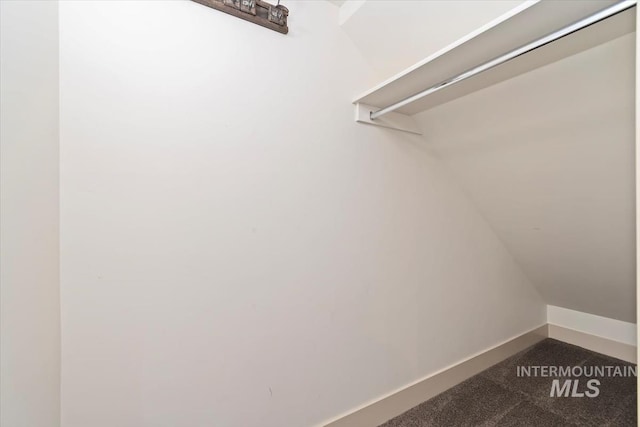 spacious closet with carpet flooring