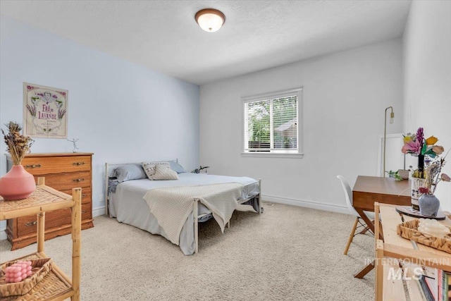 2627 E Moog St, Meridian, ID 83646 - bedroom with light colored carpet