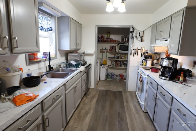 kitchen featuring a sink, appliances with stainless steel finishes, dark wood finished floors, under cabinet range hood, and gray cabinetry